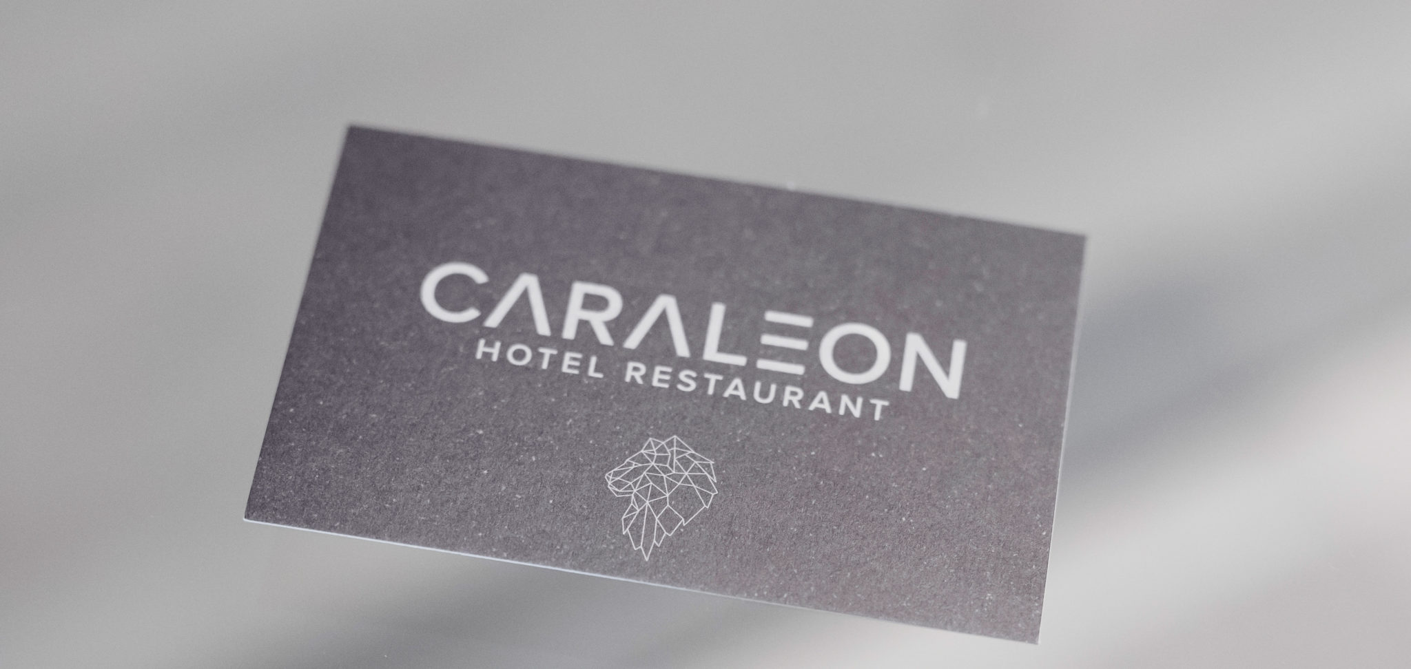 CARALEON_Hotel01