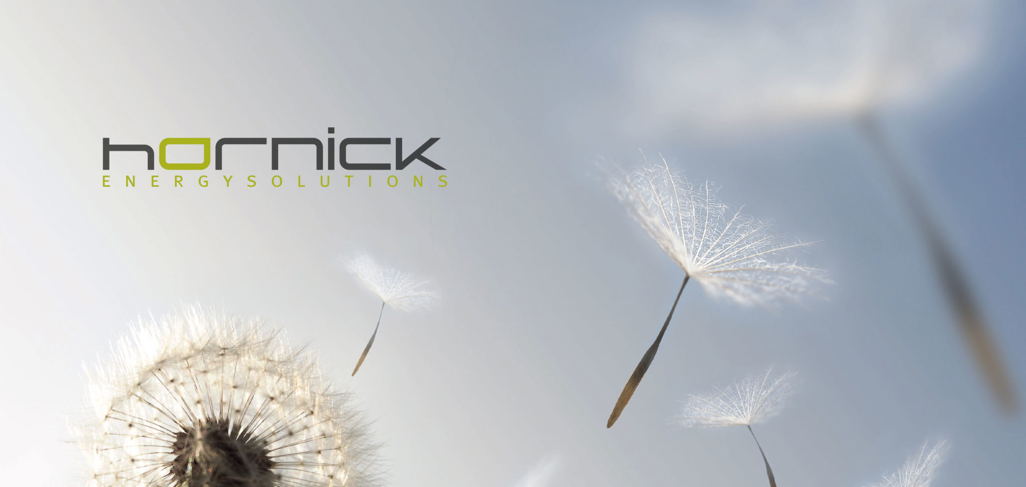 hornick_Logo02